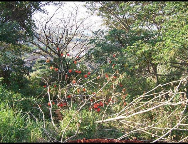 LAND FOR SALE IN ZINI RIVER ESTATE